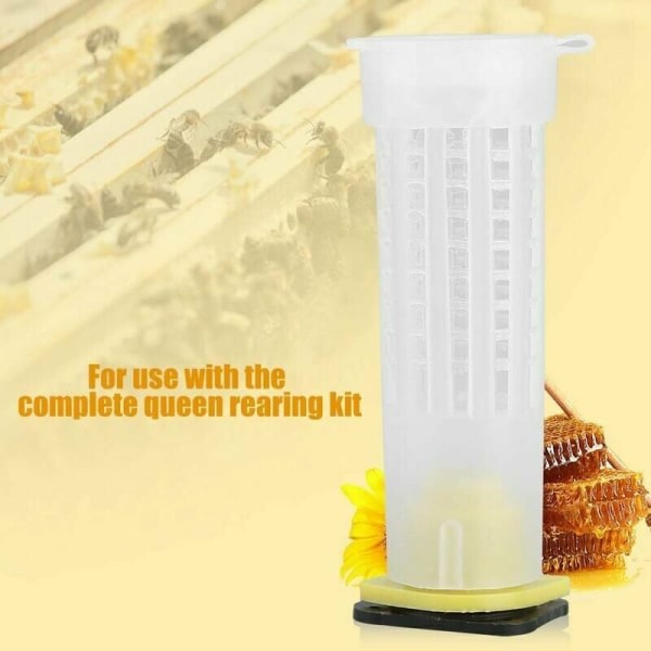 Valkoinen muovinen set, kuningatarmehiläishäkit, kasvatusrullakupit, laatikko, set (10 kpl, valkoinen)