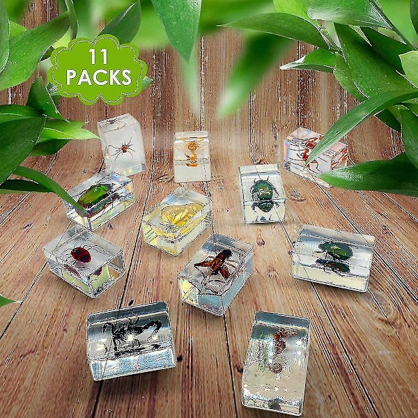 11 stk. Resin Insektprøve, Insektsamling Brevvægt, Resin Ægte Insekter, Forskellige Insekter Sp[C]