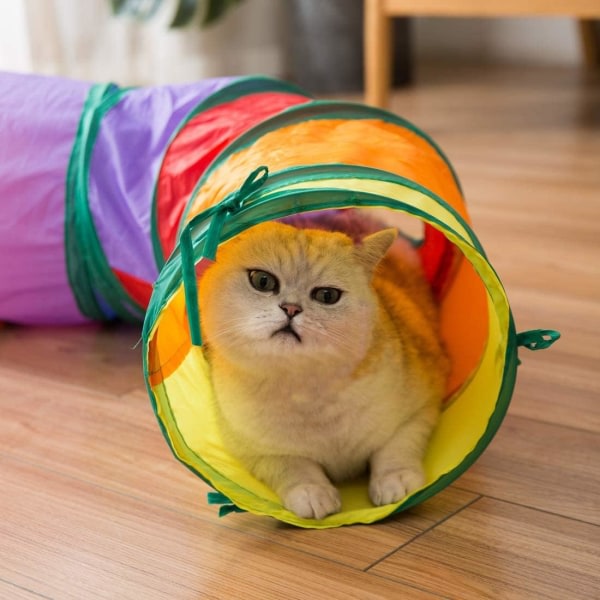 Kattehull med spilleball, interaktiv gjemsel Katttrau Katterørleke, Kamuflasjetunnel for innekatt 1 stk (B02102 Rainbow S Pass)