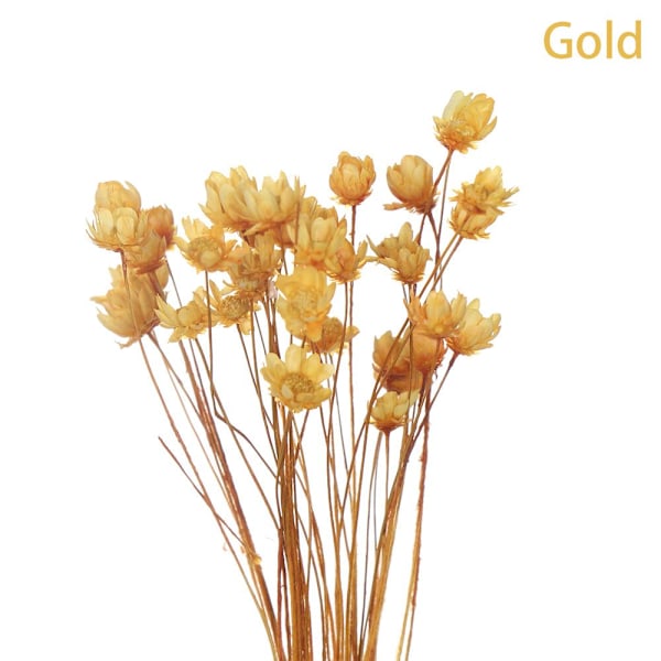 30 dekorativa torkade blommor Mini Daisy GULD gold