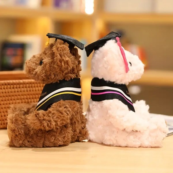 1 stk Dr. Bear Graduation Minnegave Plussjeleketøy - Festivaldekorasjon Teddybjørn