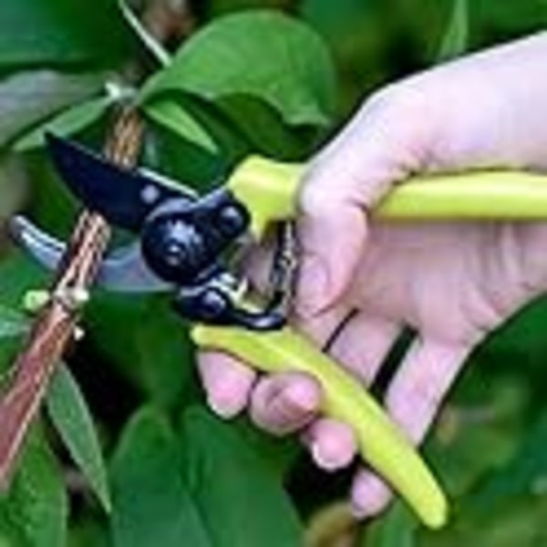 Trädgårdssax för växter och blommor