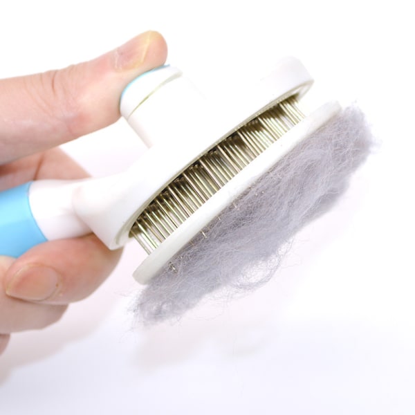 Cat Brush Självrengörande plockborste tar bort underullshundborste