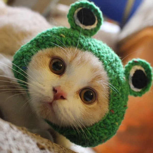 Bedårande husdjur rolig hatt tecknad groda form husdjursmössa vävning valp katt hatt husdjur 1 st