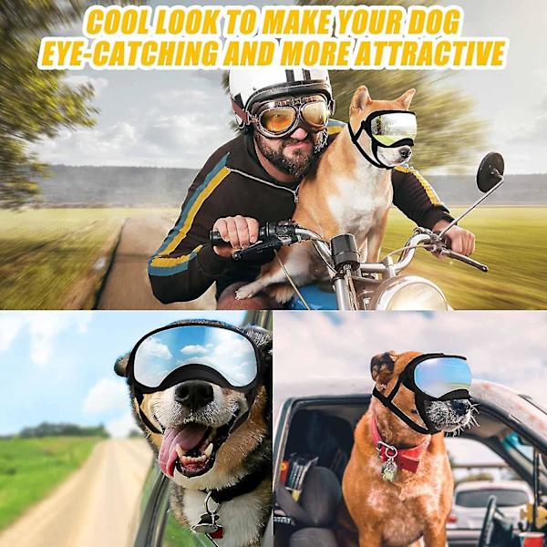 Koira Goggles Koira Uv-suojat Aurinkolasit Säädettävällä Hihalla Koirat Tuulenpitävät Anti-sumu Ulkoilupet Lasit