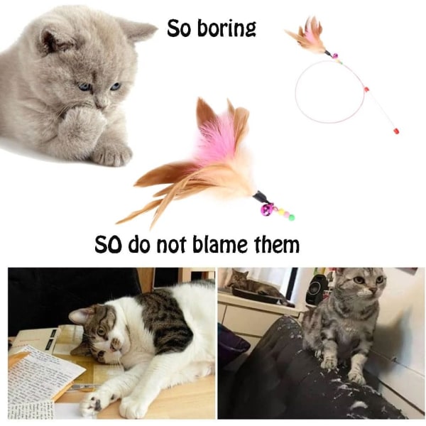 5 kpl Cat Teasers Kissan höyhensauva Kissan lelu Interaktiivinen lelu höyhensauva