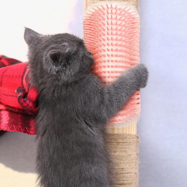 Cat Wall Scratcher med kattemynte for kjæledyr