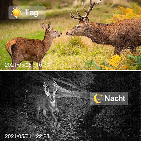 Åtelkamera, Jaktkamera med Vidvinkelrörelse Senaste Sensor Display Trigger Time Trail Viltkamera Utan Glöd och Vattentät för Vilda Djur