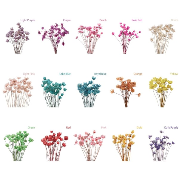 30 dekorative tørkede blomster Mini Daisy HVIT white