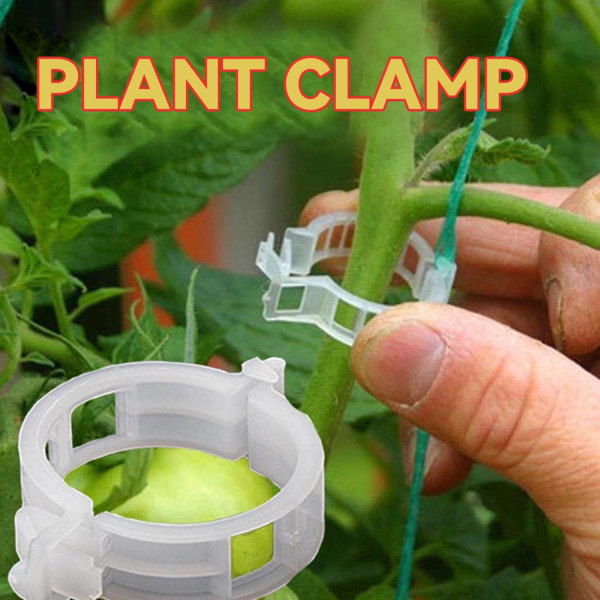 100/200/300 st plantstöd clips, plantklämmor för klätterväxter, ympverktyg upprätt växtväxande återanvändbar (grön/vit) white 100pcs