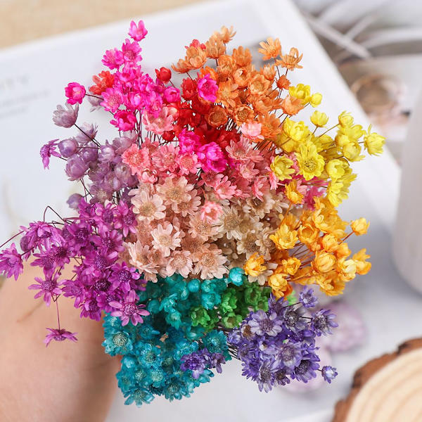 30 dekorativa torkade blommor Mini Daisy PEACH peach