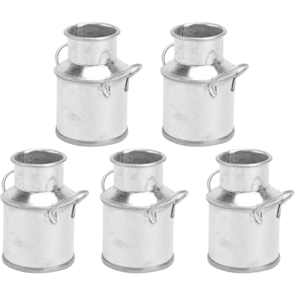 5 kpl Crday Mini Iron Bucket Miniature Maisema kukkaruukku Pöytäkoristeet Iron Craft