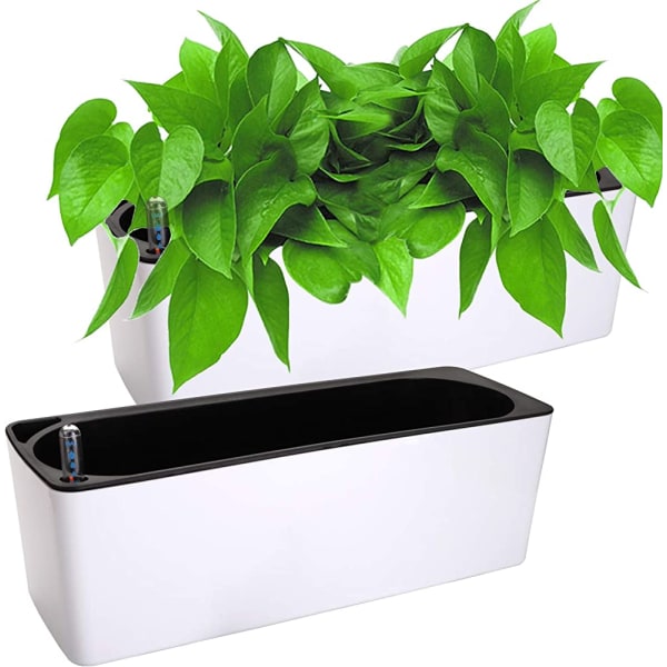2-pak rektangel selvvanning plantekasse med vann