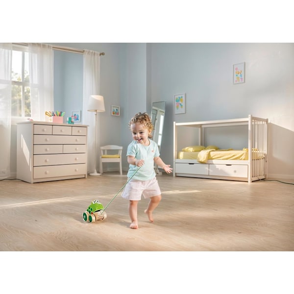 Hape Puupöllö Vetoleluttoy, Kirkkaat Värit