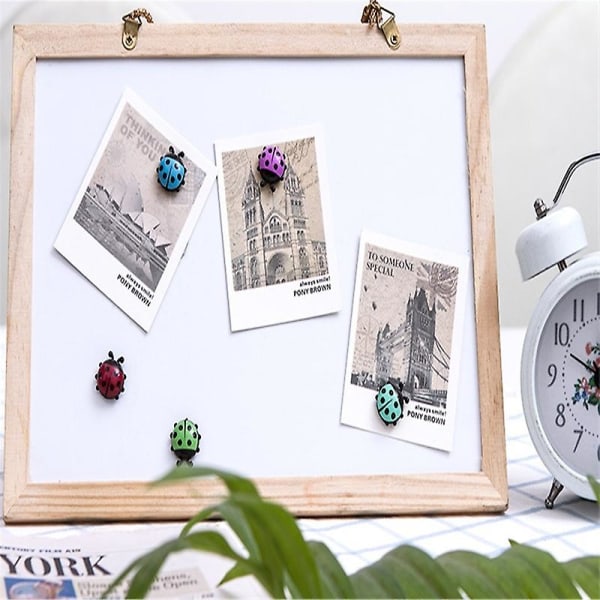Ladybug 6 kpl/setti Mini Ladybug Jääkaappimagneetti Luova Kodinsisustus Söpö Piirretty Jääkaappi