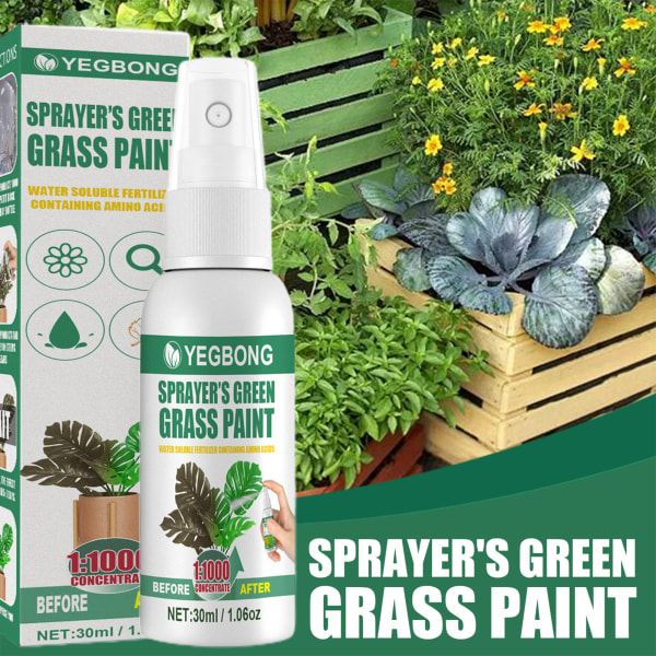 Grön gräsmatta Spray Klar att använda gräsfärg Ultrasnabb applicering för trädgårdsgård a