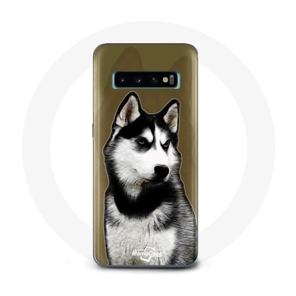 Skydd för Samsung Galaxy S10 Plus Siberian Husky