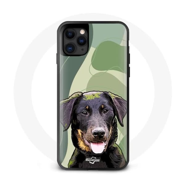 Coque iPhone 13 pro max Haavoittuvaiset alkuperäiset rodut