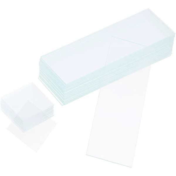 50 stk. blanke objektglas og 100 stk. forrensede dækglas til mikroskop