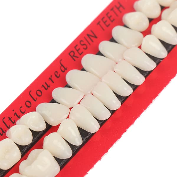 Dental dentalmaterialer undervisningsmodel med proteser 28 studerende øver tænder