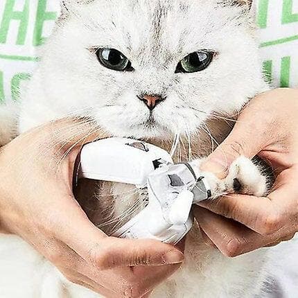 Kattklosax med LED-lampor framtill