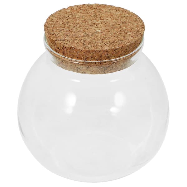Växtterrarium Hydroponisk Växtkruka DIY Landskapsflaska Skrivbordsväxthållare