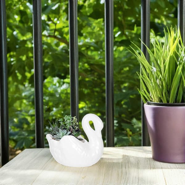 1 stk. Svanformet sukkulent blomsterpotte haveplanter hjemmekontorpynt
