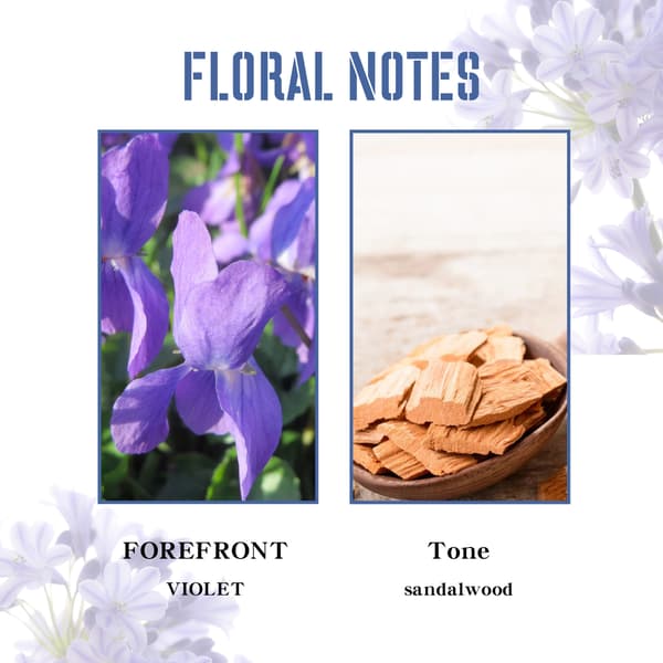 NY 90ml/Box Violet Parfymspray Fräsch Lätt Doft Bakom Öron och Handleder Långvarig Charm Parfym