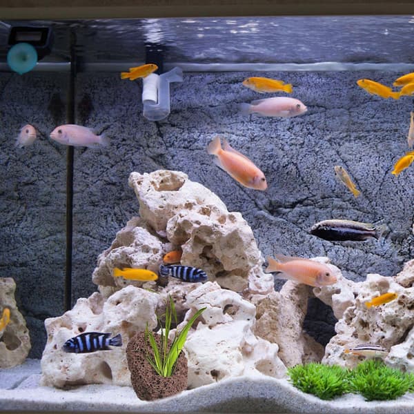 6 st akvarium vulkansten dekorativa akvarium vulkaniska stenar växtfixerare ornament