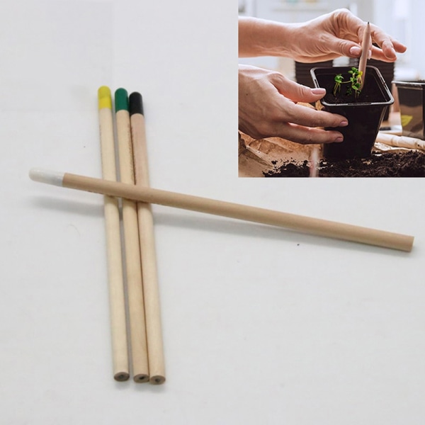 4st Idégroningspenna Set To Grow Pencil Mini DIY Deskto