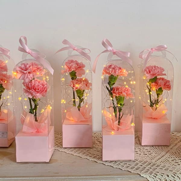 Transparent Rose Flower Box Plast Cake Packaging Box Florist White