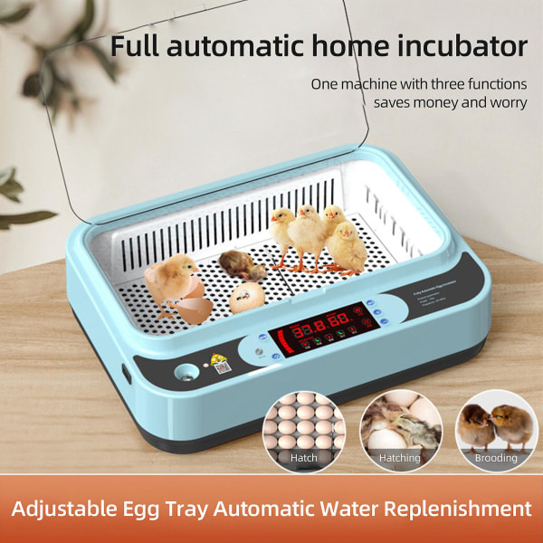 Eggs Incubators Poultry Hatcher For Chicken, Duck, Quail, Goose Eggs Christmas Gifts, Holiday Gift Blue 15