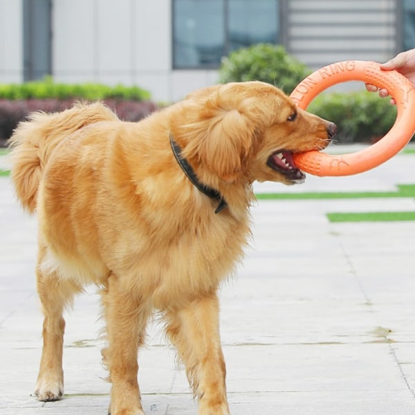 https://images.fyndiq.se/images/f_auto/t_600x600/prod/d9e886ef30c74e8f/9064caaaee53/new-dog-toys-pet-flying-disk-training-ring-puller-anti-bite-floating-interactive-supplies-dog-toys-aggressive-chewing-green
