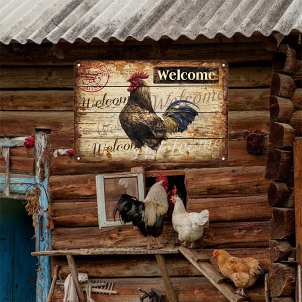 Chicken Vintage Poster Metal Tin Signs Iron Plate Rooster Hen Fresh Eggs Retro Decorative Plaque Farm Home Garden Wall Decor 60022 20x30cm