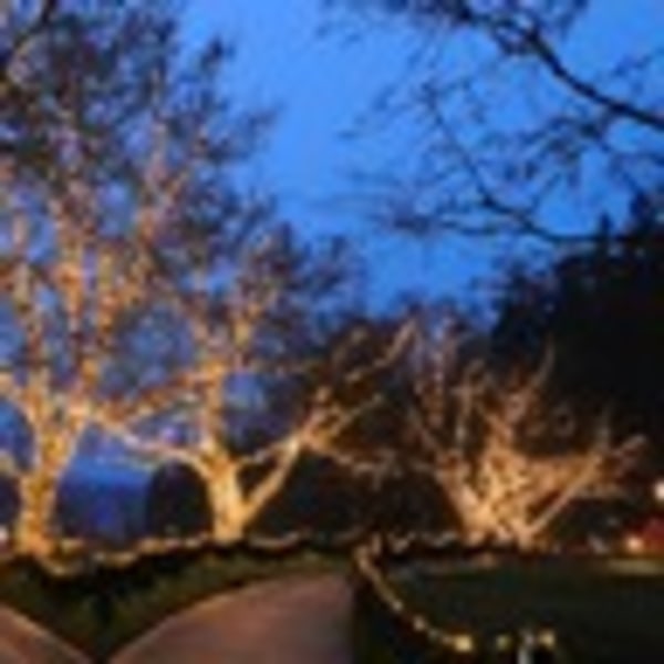 Julbelysning utomhus LED 60 meter med 1200 varmvita LED-lampor svart