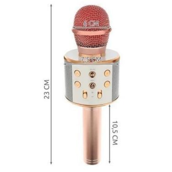 Karaoke mikrofon med högtalare Rosa guld Guld