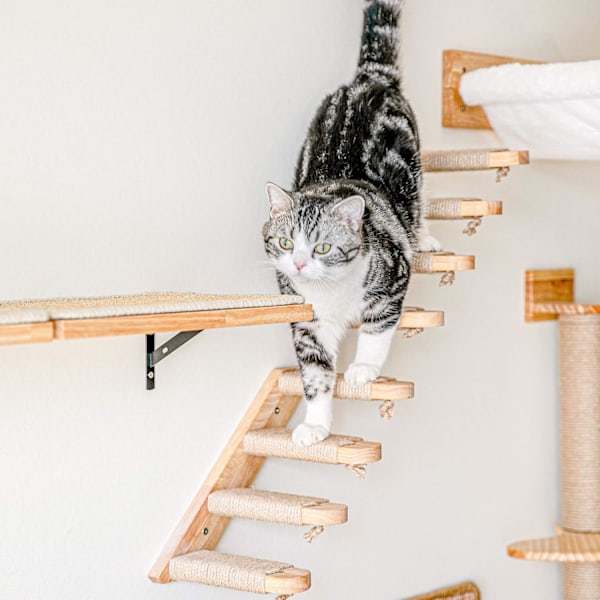 Vægmonteret klatrestativ til katte, 4-trins klatrestige til katte med