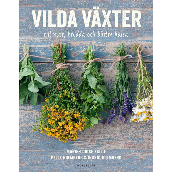 Vilde planter: til mad, krydderi og bedre helbred 9789113076690 280
