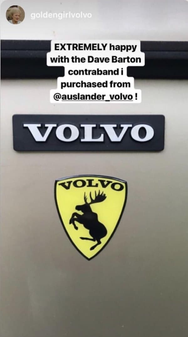Pari (2) Aitoja Prancing Moose VOO 3 Perinteisiä Vinyyliteippauksia