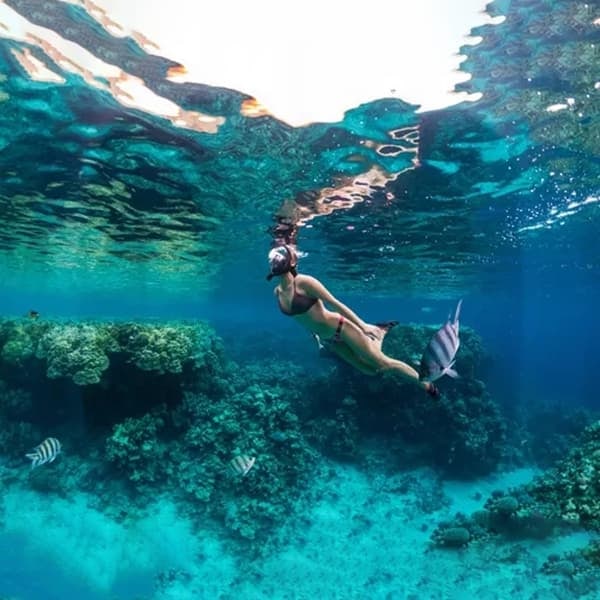 Snorkelmask Heltäckande - Snorkling - L/XL