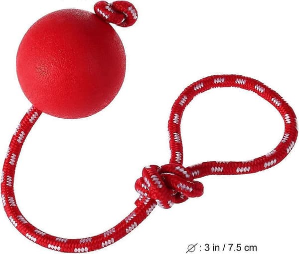 Kæledyr Bold Med Snor Diameter 7 Cm Gummi Tygelegetøj Til Kæledyr, Rød