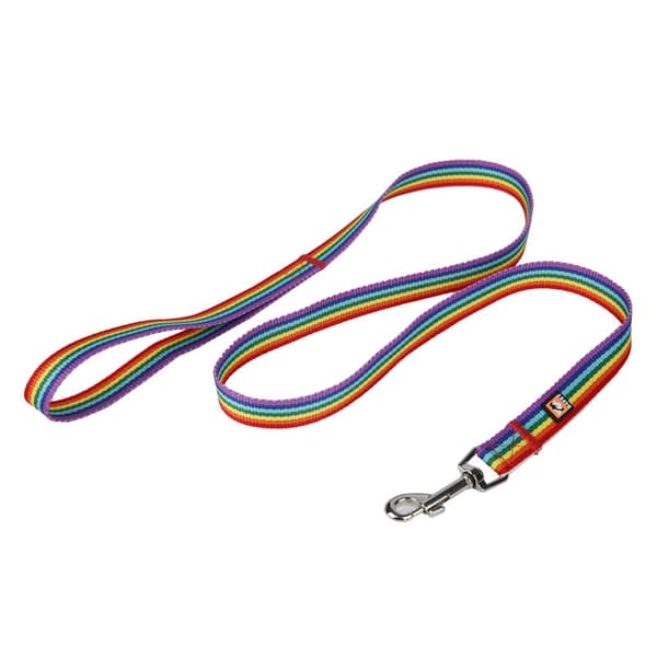 Hundkoppel halsband set hundkoppel