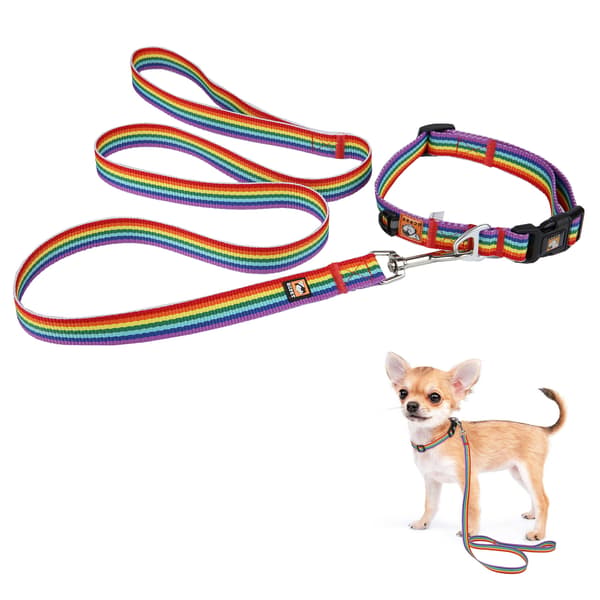 Hundkoppel halsband set hundkoppel