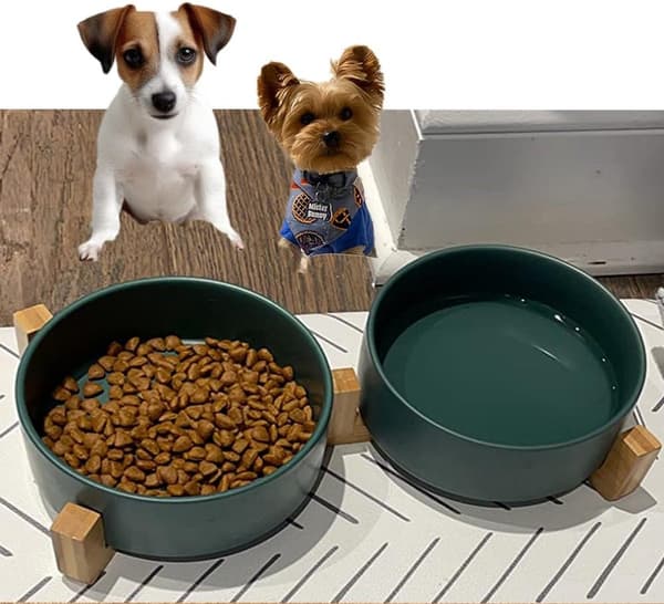 Keramisk katteskål - Forhøjet med stativ - Velegnet til små hunde, små hunde kattefoder- og vandskål - Ant Gray S