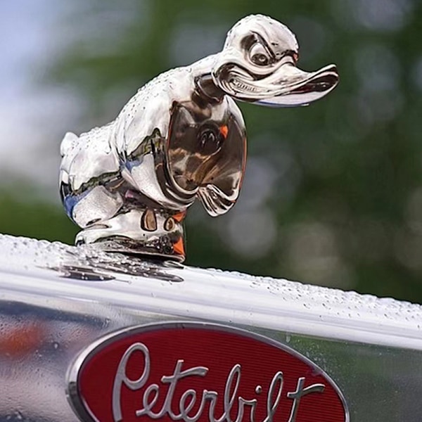 Vred Duck Bil Hættepynt Auto Forreste Hætte Bilsticker Bil Da Silver
