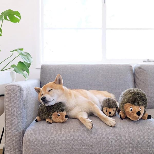 Plush-koira lelu, pieni