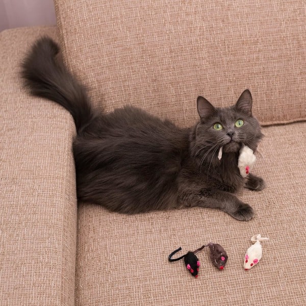 TG 5 st (färg) plysch imitation mus Katt Rolig själv-slående katt leksak, lek