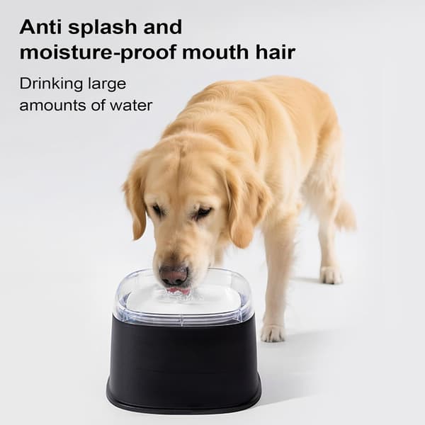 Anti-Spild Hundevandskål Stor 2200ml Kæledyrsfoder Langsom Drik Design til Hunde Hvalpe Killinger Hjem Rejse Udendørs Brug Sort