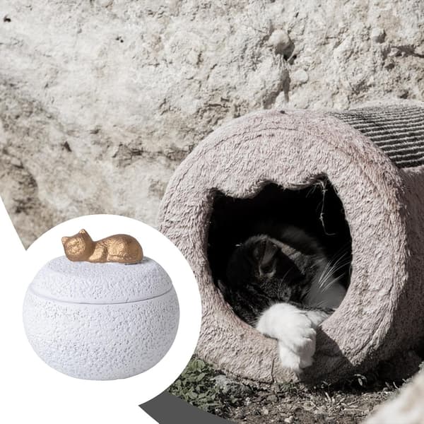 Kompakt Kæledyrsurne med Låg 350 ml Cementbase Hvid
