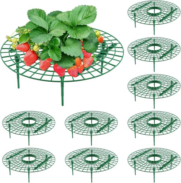 10-pack Strawberry Supports, Round Strawberry Stands, Keeps Strawberry Plants Clean